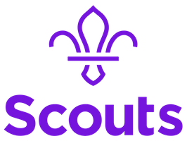 link to scouts